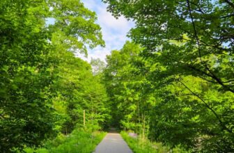 The Little Things Newsletter #471 – Life, laughter, and lots of great food!