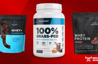 Best Whey Protein Powders of 2025