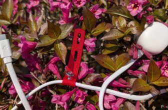 If you only buy one USB-C charger in 2025, make it this one