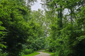 The Little Things Newsletter #477 – Life, laughter, and lots of great food!