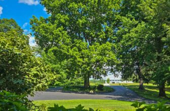 The Little Things Newsletter #476 – Life, laughter, and lots of great food!