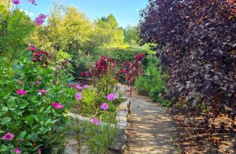 The Little Things Newsletter #486 – Life, laughter, and lots of great food!