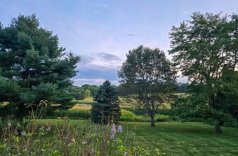 The Little Things Newsletter #485 – Life, laughter, and lots of great food!