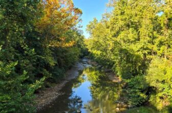 The Little Things Newsletter #487 – Life, laughter, and lots of great food!